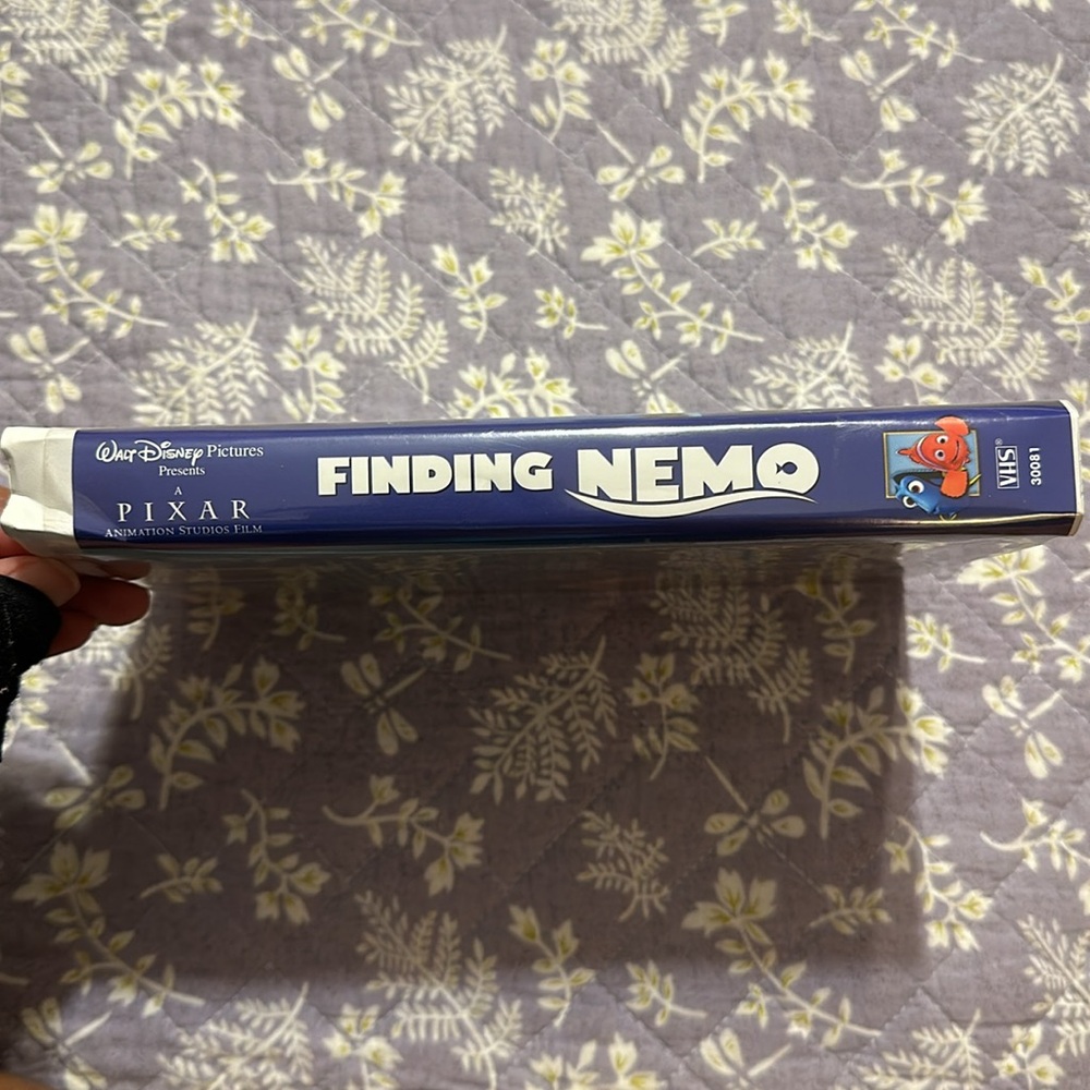 Finding Nemo (2003) - Picture 4 of 11